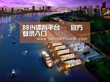 案例展示八